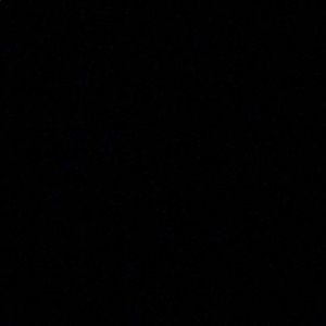 Meet your Posher, Abigail